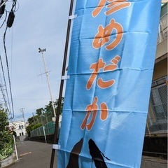 彦めだか茅ヶ崎　5月8日　改良めだか - 茅ヶ崎市