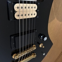 X JAPAN hideモデル　フェルナンデス黒の画像