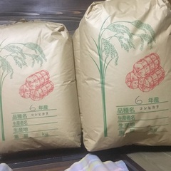 栃木コシヒカリ玄米10キロ