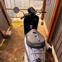 原付　トゥデイ　ホンダの画像