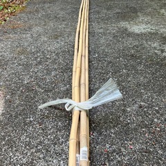 竹　支柱　未使用品   農業資材　園芸   ガーデニング　DIYの画像