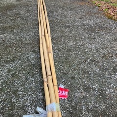 竹　支柱　未使用品   農業資材　園芸   ガーデニング　DIYの画像