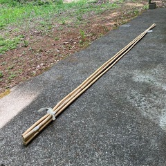 竹　支柱　未使用品   農業資材　園芸   ガーデニング　DIY