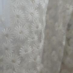 ブラウスの画像