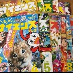チャレンジ1年生　1年分
の画像