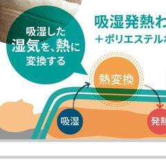 【5月末に投稿全て消します！】ニトリ nウォーム 毛布+ピローパット付きの画像
