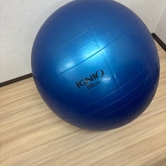バランスボール55㎝イグニオ