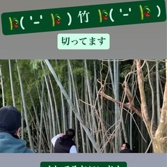 5/11(日)竹林間伐ボランティアしたい方を募集します✨️