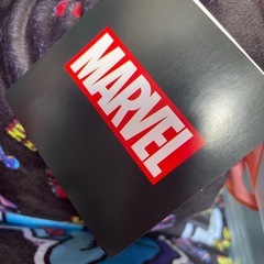 スパイダーマン　プレミアム　サガラ刺繍風ロングクッション　の画像