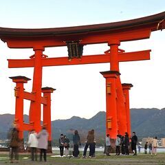 カメラ&写真好きなあなた！（誰でも大歓迎）