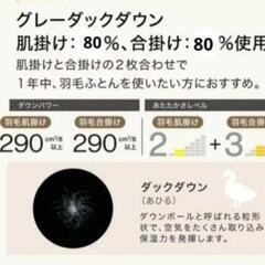 【5月末に投稿全て消します！】ニトリ N-sleep Down 2枚合わせ羽毛布団　シングルの画像