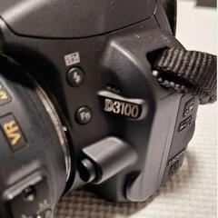 Nikon D3100の画像