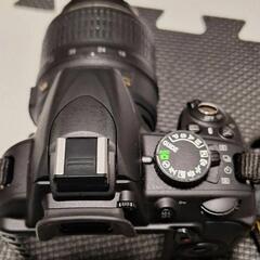 Nikon D3100の画像