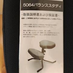 Balans 5064 バランスチェアの画像