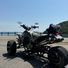 実働リバーストライク250の画像