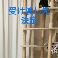 キャットタワー アイリスオーヤマの画像