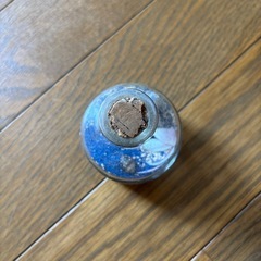 サンゴ礁の置物