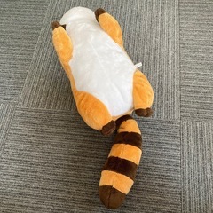 あらいぐまラスカル　BIG ぬいぐるみ　人気の画像