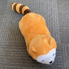 あらいぐまラスカル　BIG ぬいぐるみ　人気の画像