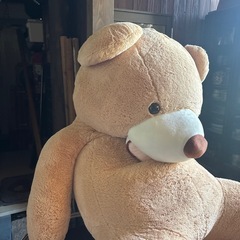 1番大きなコストコのクマさんの画像