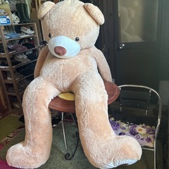 1番大きなコストコのクマさんの画像