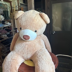 1番大きなコストコのクマさんの画像