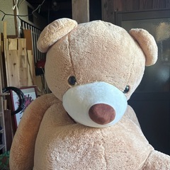 1番大きなコストコのクマさんの画像