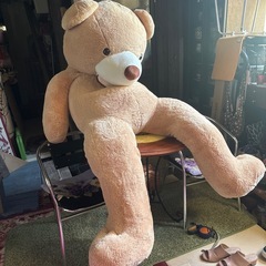 1番大きなコストコのクマさん