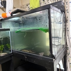120cm水槽の画像