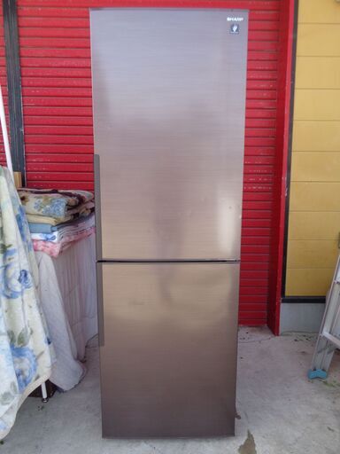 シャープ310L 2ドア冷凍冷蔵庫SJ-PD31E-T中古 (ECOJACK) 高崎の