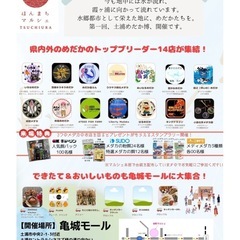 5/17（土）　土浦めだか博　ほんまちマルシェ　亀城モール - 土浦市