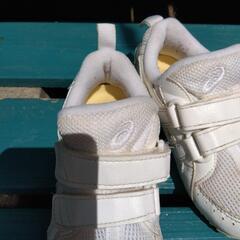 15.5cm アシックスシューズの画像