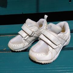 15.5cm アシックスシューズの画像