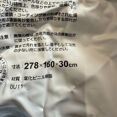 ビニールプール　未確認の画像
