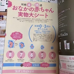 プレモ 妊娠がわかったらすぐ読む本 付録付きの画像