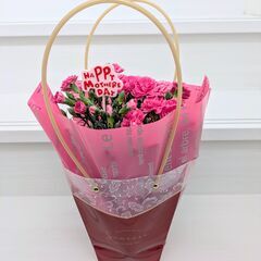 カーネーション4号鉢　手つきバッグの画像