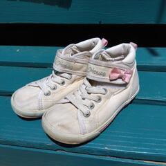 16cm　ミキハウス【お揃いあり14/16/17cm】の画像