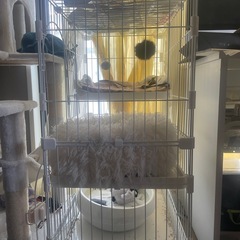 ペット　小動物 簡単組み立て2段ケージ