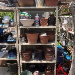 植木鉢お譲りします