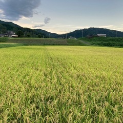 2024年9月収穫玄米 2キロの画像