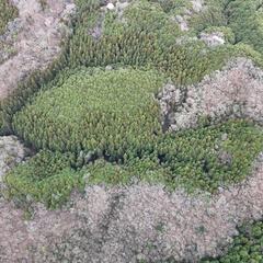 山林物件255　栃木県那須烏山市下境