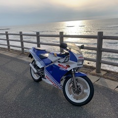 NSR250R 車体 ノーマル 青テラ
の画像