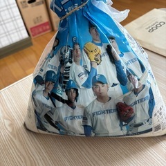 スポーツ米2.7kg
