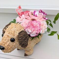 母の日　ワンちゃんアレンジフラワーの画像
