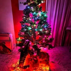 ①クリスマスツリーの画像
