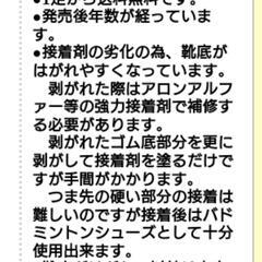 25.5 体育館　シューズ　バドミントンの画像