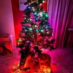 ②クリスマスツリー装飾付きの画像