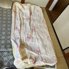 プーさんの空気ベッド
の画像