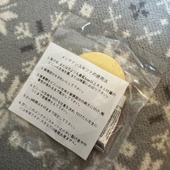 プーさんの空気ベッド
の画像