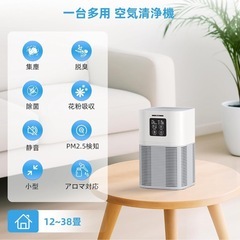 【未使用】空気清浄機 花粉 PM2.5 ハウスダスト 0.1μm 12〜38畳 除菌 脱臭 小型の画像